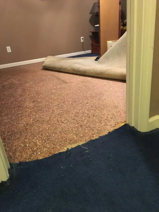 Carpet pad removal revealing water damage during Drying & Dehumidification in Willow Park